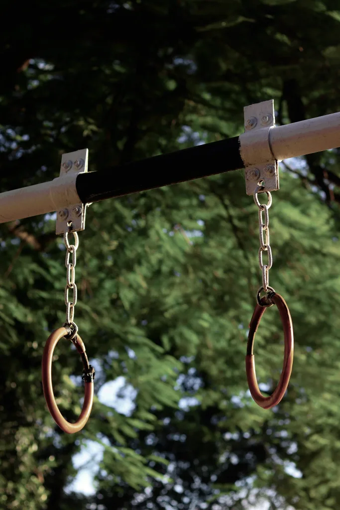 metal gymnstics rings