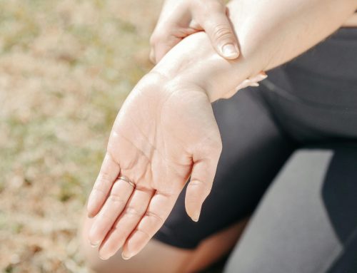 Do Tendons Recover Faster Than Muscles