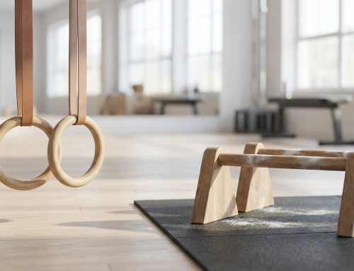 Gymnastics Rings VS Parallettes: Which To Buy?